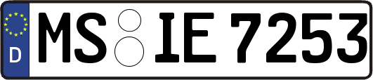 MS-IE7253