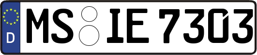 MS-IE7303