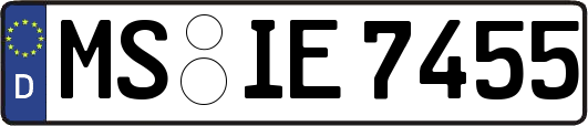MS-IE7455