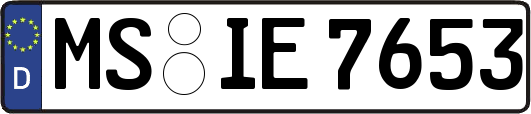 MS-IE7653