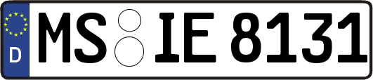 MS-IE8131
