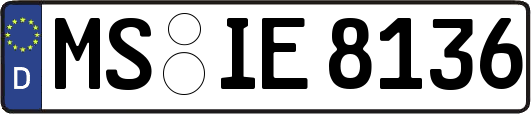 MS-IE8136