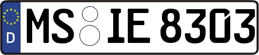 MS-IE8303