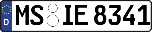 MS-IE8341