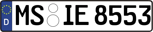 MS-IE8553