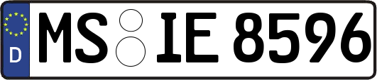MS-IE8596