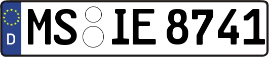 MS-IE8741