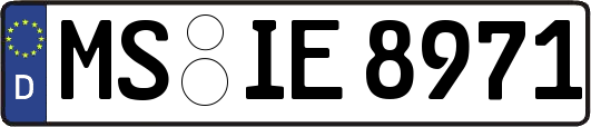MS-IE8971