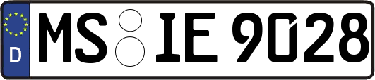 MS-IE9028