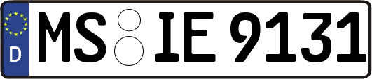 MS-IE9131