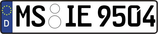 MS-IE9504