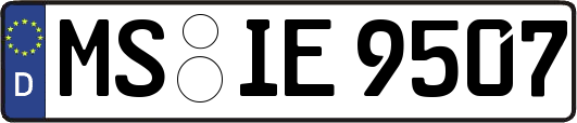 MS-IE9507