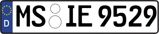 MS-IE9529