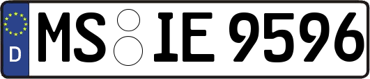 MS-IE9596