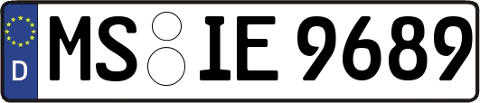 MS-IE9689