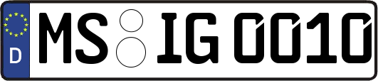 MS-IG0010