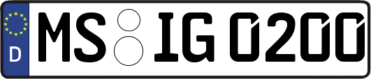 MS-IG0200