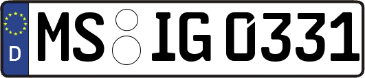 MS-IG0331