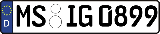 MS-IG0899