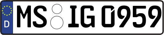 MS-IG0959