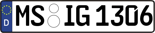 MS-IG1306