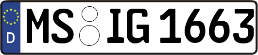 MS-IG1663