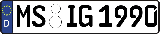 MS-IG1990