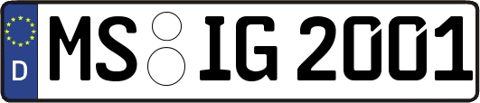 MS-IG2001