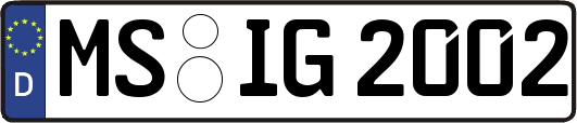 MS-IG2002