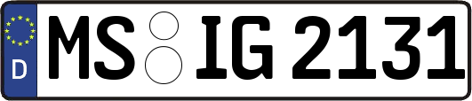 MS-IG2131