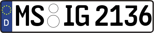 MS-IG2136