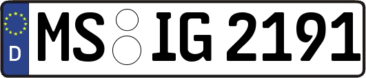 MS-IG2191