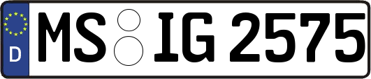 MS-IG2575