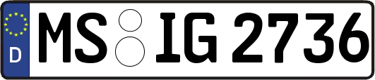 MS-IG2736