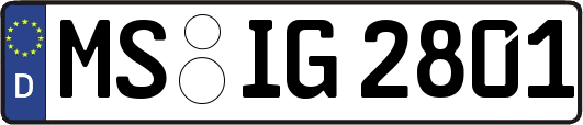 MS-IG2801