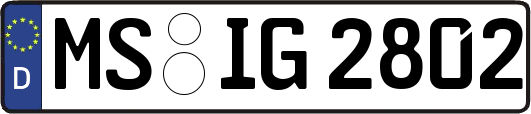 MS-IG2802