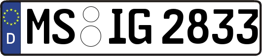 MS-IG2833
