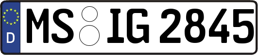 MS-IG2845