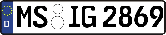 MS-IG2869