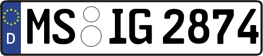 MS-IG2874