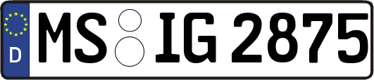 MS-IG2875