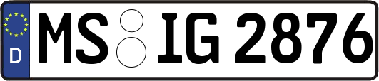 MS-IG2876