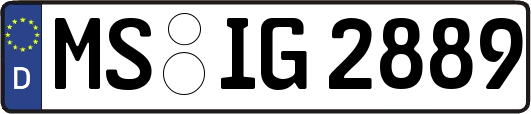 MS-IG2889