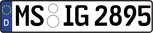 MS-IG2895