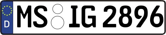 MS-IG2896