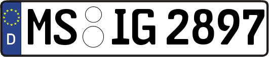 MS-IG2897