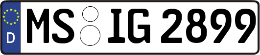 MS-IG2899