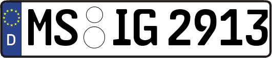 MS-IG2913