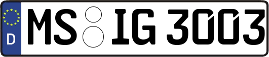 MS-IG3003