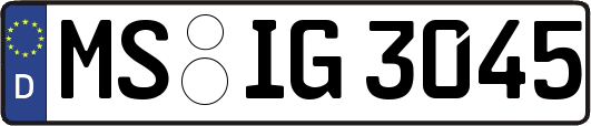 MS-IG3045